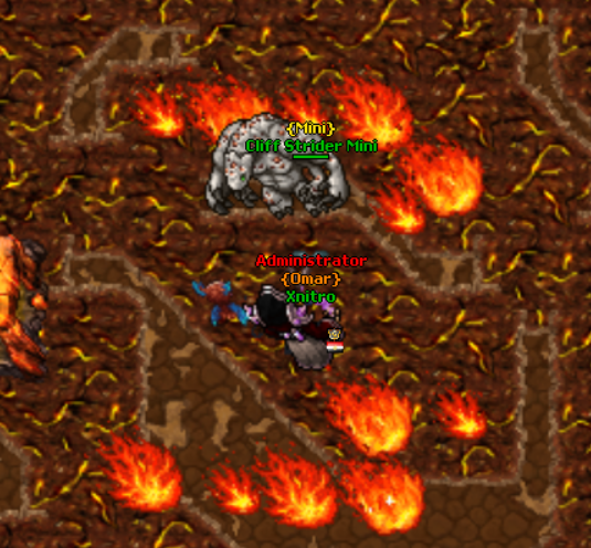 Summoned Mini Boss inside the private boss area
