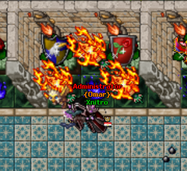 [Eagle & Rose] Shield Quest area