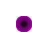 Eclipse Aura