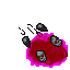 Ladybug Aura