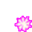 Snowweb Aura